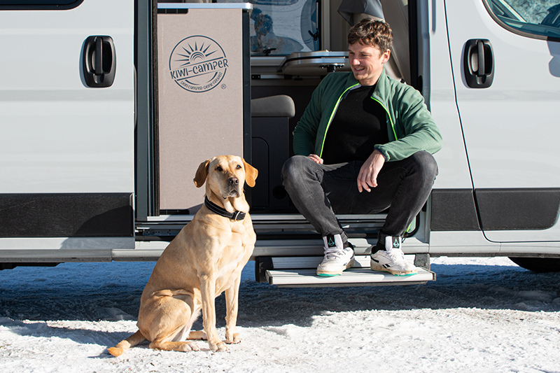 Kiwi Camper mit Hunden